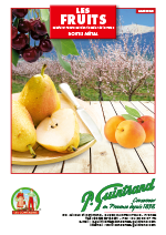 2020 fiche tomates GUINTRAND 1