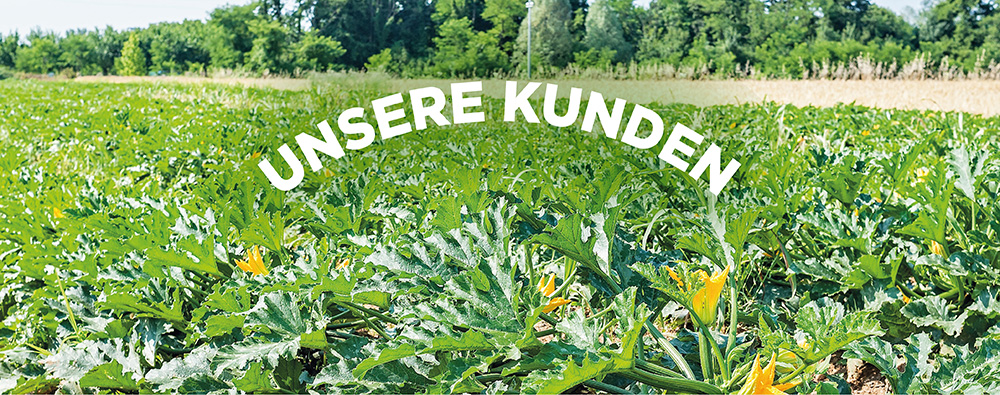 page notre clientele guintrand ok allemand