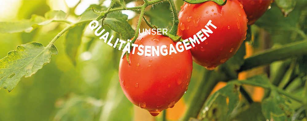 page notre engagement guintrand ok allemand